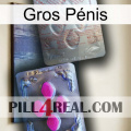 Gros Pénis 38